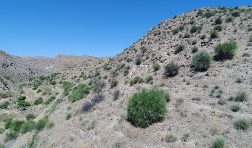 ذخیره گاه قاهان