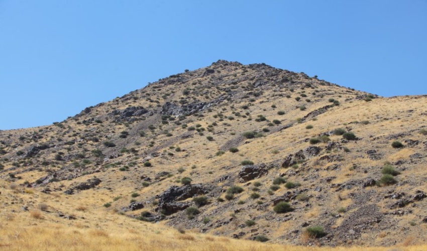 ذخیره گاه نویس