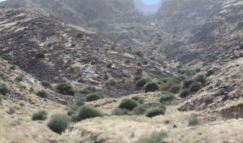 ذخیره گاه آله