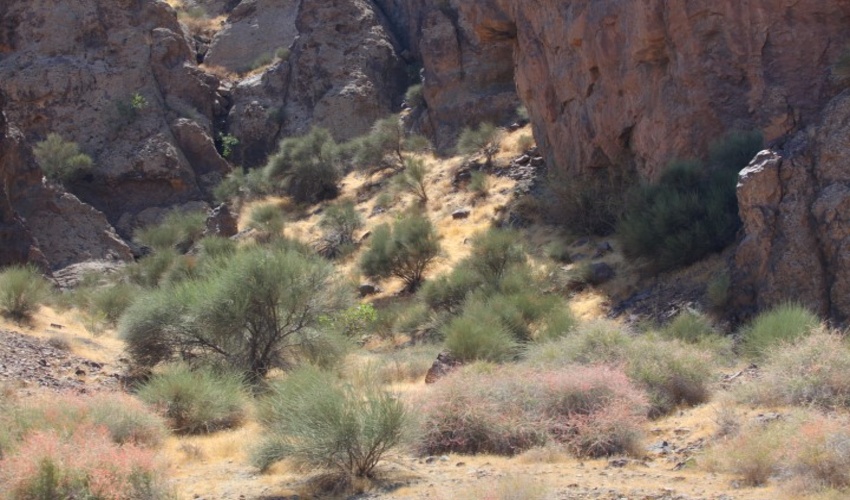 ذخیره گاه امامزاده اسماعیل