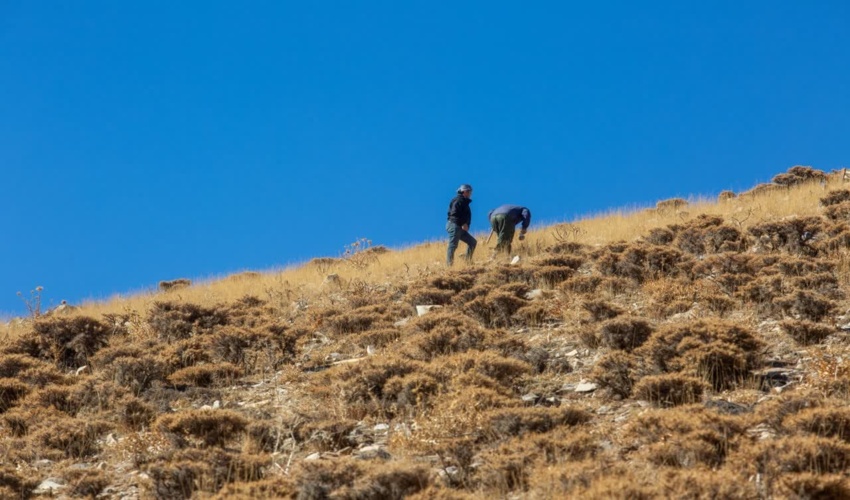 برگزاری اولین پویش کریمه اهل بیت 