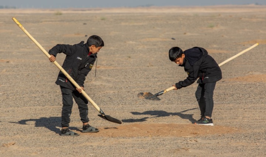 گزارش تصویری