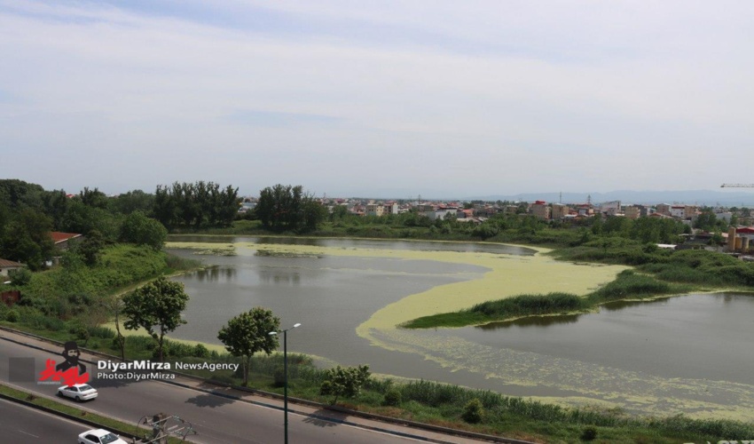 باز گشت بیش از 60 هزار هکتار از اراضی دولتی به بیت المال