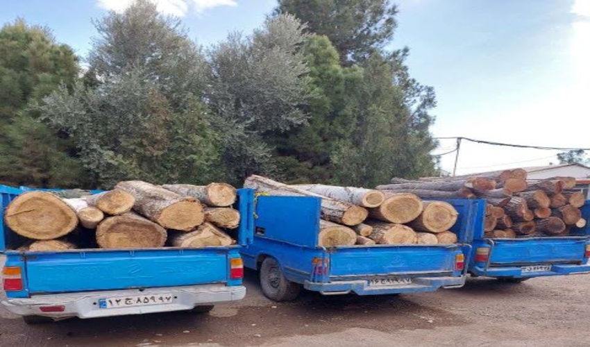 بیش از 6 تن چوب قاچاق 