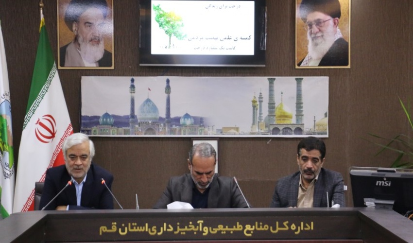 هزینه تولید و کاشت یک میلیارد نهال، 18 هزار میلیارد تومان برآورد شده است  