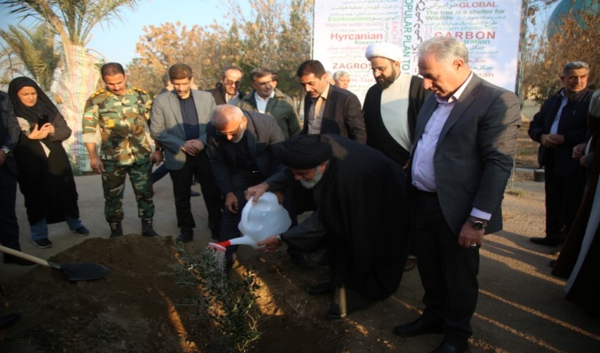 غرس نهال زیتون در محوطه مسجد مقدس جمکران 