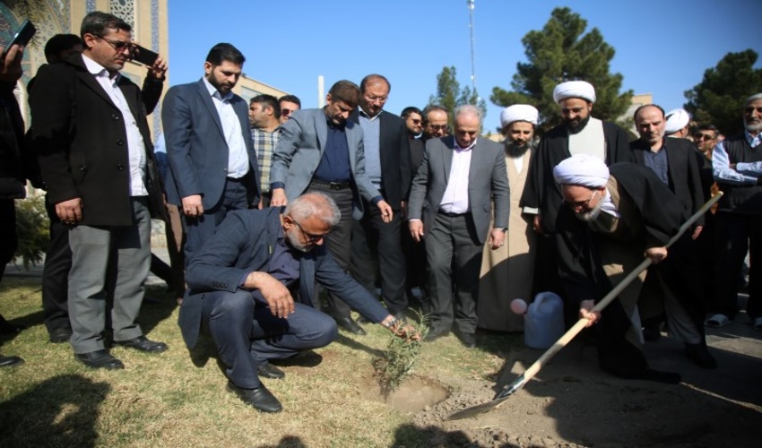 کاشت نهال زیتون برای اعلام همبستگی با مردم مقاوم غزه 