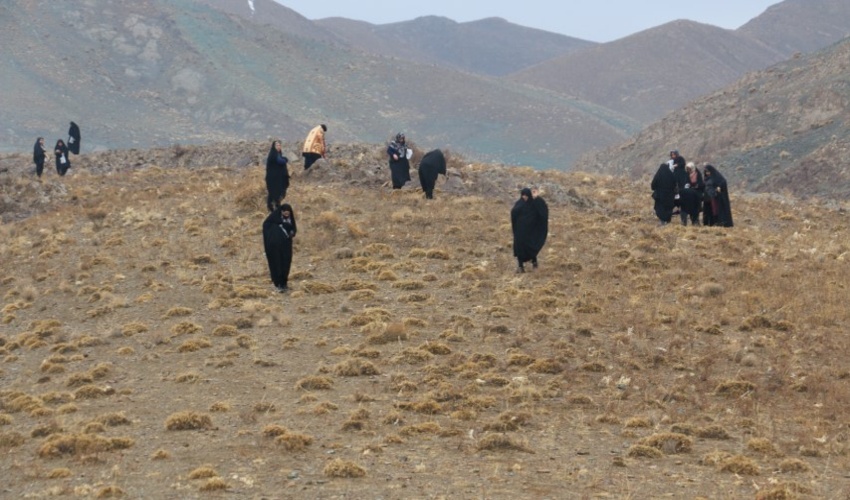 برگزاری پویش بذرکاری