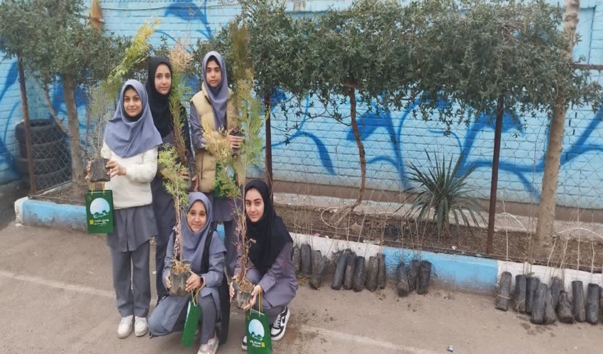 کاشت درخت توسط دانش آموزان قمی