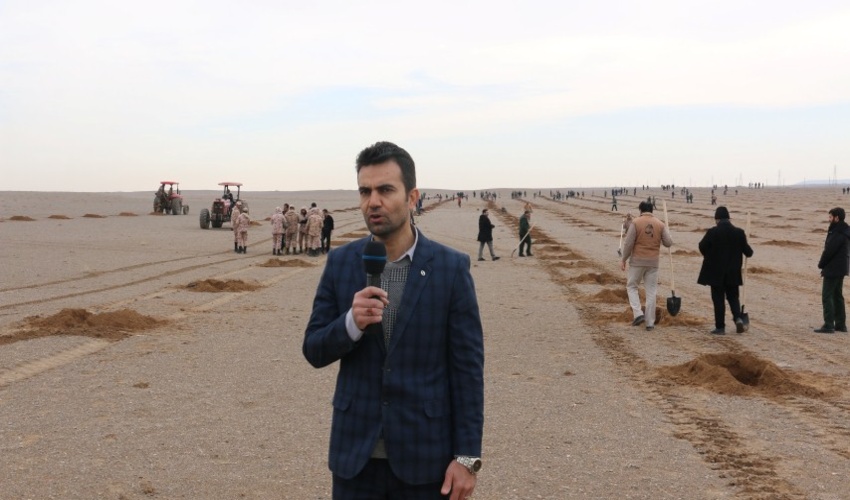 کشت گونه های بیابانی و مقاوم به خشکی قم را از دست ریزگردهای نواران نجات خواهد داد 