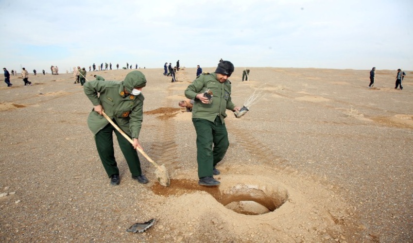 کاشت درختان در پویش «هم عهدی سبز» هر هفته انجام می‌شود