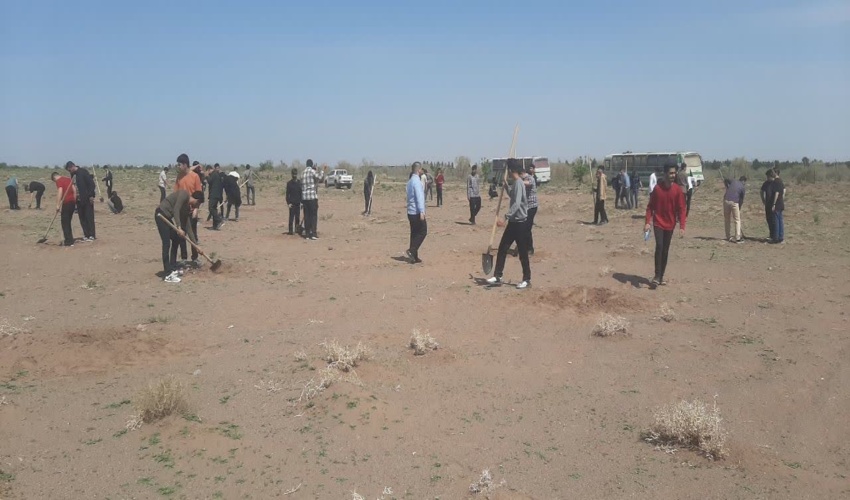 کاشت بیش از دو هزار نهال توسط دانش آموزان قمی