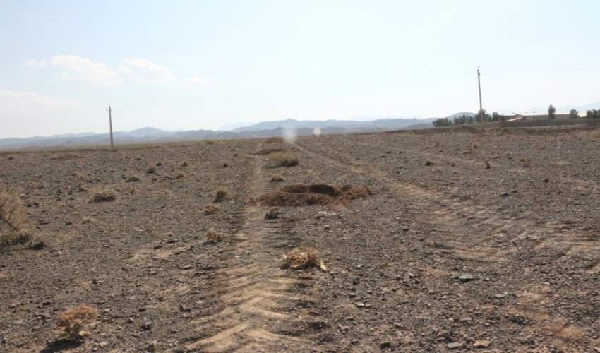 اجرای پروژه نهال کاری درسطح ۲۲۰ هکتار در منطقه سیرو شهرستان کهک