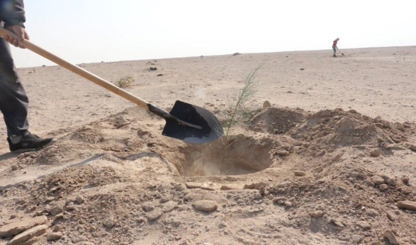  فیلم/اجرای پروژه نهال کاری