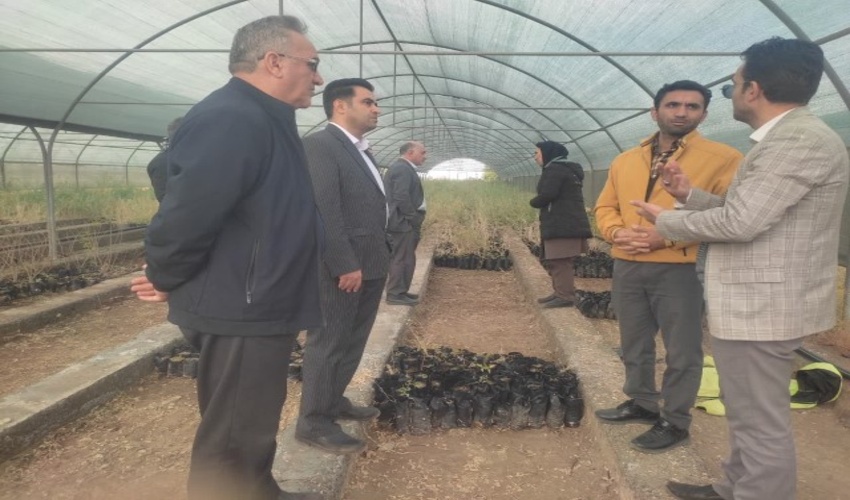 بازدید و ارزیابی عملکرد معاونت فنی