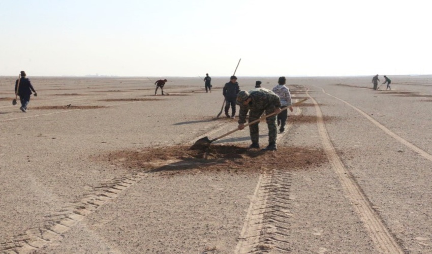 برگزاری پویش نهال کاری