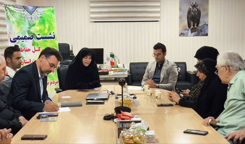 تأکید بر همافزایی با سازمانهای مردمنهاد در صیانت از منابع طبیعی/ داودی: مشارکت سمنها، کلید موفقیت در طرحهای مهار گرد و غبار است